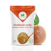 Natural Probio Original Kombucha Scoby