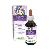 Naturalma Baikal-Helmkraut