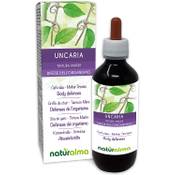 Naturalma Katzenkralle-Urtinktur