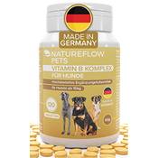 Natureflow B Komplex Vergleich