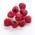 Naturkost Schultz Gefriergetrocknete Himbeeren