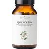 Naturkur Quercetin