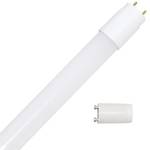 Ncc-Licht Leuchtstofflampe