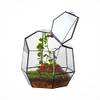 Ncyp Kleines Geometrisches Terrarium