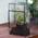 Ncyp Terrarium