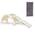 Need Sleep Kletterbogen XXL mit Rutsche