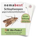 Nemabest Schlupfwespen gegen Lebensmittelmotten