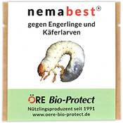 Nemabest nematoden
