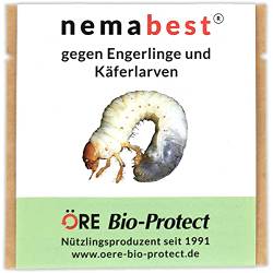 Nemabest nematoden