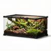 Neptonion Mini Glas-Terrarium