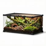Neptonion Mini Glas-Terrarium