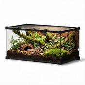Neptonion Mini Glas-Terrarium