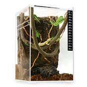 Neptonion Mini Terrarium Vergleich