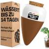 Netrox Bewässerungskegel aus Ton