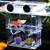 Netume Aufzuchtbecken Aquarium