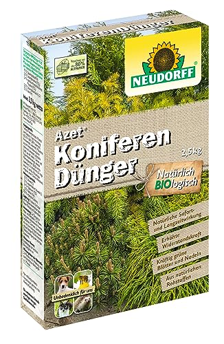 thuja nachbarpflanzen Thuja 'Smaragd' (160 - 180 cm) als Topfware main image 0