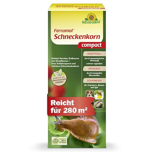 bio knoblauch saatgut Bio-Knoblauch Extrakt kaufen