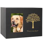 Newdream Hundeurne Vergleich