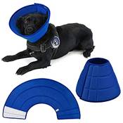 Newsbirds Halskrause für Hund Vergleich
