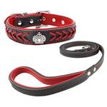 Newtensina Hundehalsband
