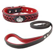 Newtensina Hundehalsband