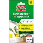 Nexa Lotte Gelbstecker