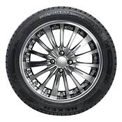 Nexen Winguard Sport 2