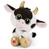 Nici 47668 Kuh Moolon