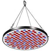 Niello Pflanzenlampe