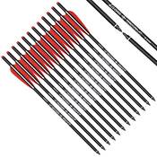 Nika Archery Armbrustbolzen