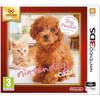 Nintendo Nintendogs + Cats