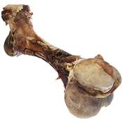 Nobby Kauknochen-Hund