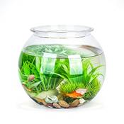 Nobleza Kugelaquarium 2.8L