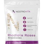 Nootrovita Rosenwurz Rosea