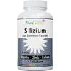 Nord Vital Silizium aus Bambus-Extrakt
