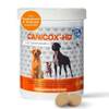Nutrilabs Gelenktabletten