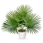 Oairse Künstliche Palme Vergleich