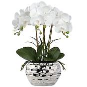 Oairse Kunstpflanze Orchideen Vergleich
