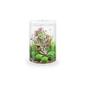 Oase biOrb Tube 30 LED Vergleich