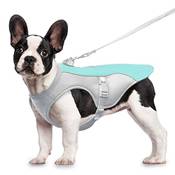 Ocsoso Kühlweste Hund Vergleich
