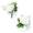Boutonniere