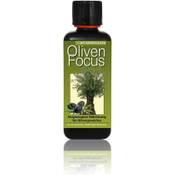 Oliven Focus Dünger Oliven Vergleich
