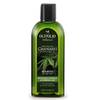 Olivolio Hanföl Shampoo
