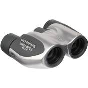 Olympus 10x21 DPC-I