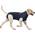 MPS Medical Pet Shirt 