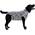 MPS Medical Pet Shirt Hund Zebra-Print