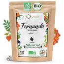 Origeens Fernando