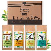 Origeens Geschenkset Bio-Mate-Tee