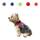 OrionisPet Hundegeschirr