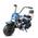 Oryxearth 99CC 4-Takt Dirt Bike